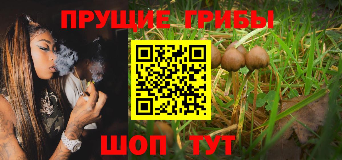Галлюциногенные грибы Magic Shrooms Ртищево